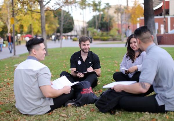 4 students sitting on the grass sharing notes 